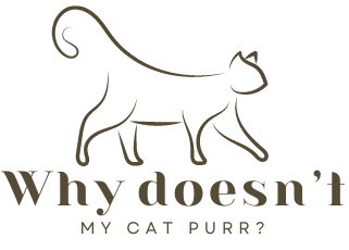 Why doesn't my cat purr?